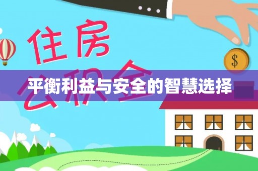 中坜平衡利益与安全的智慧选择