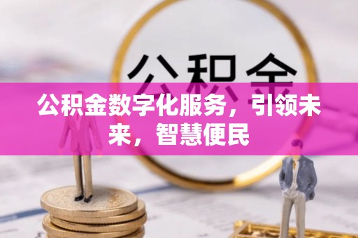 中坜公积金数字化服务，引领未来，智慧便民