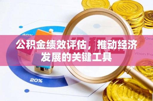 中坜公积金绩效评估，推动经济发展的关键工具