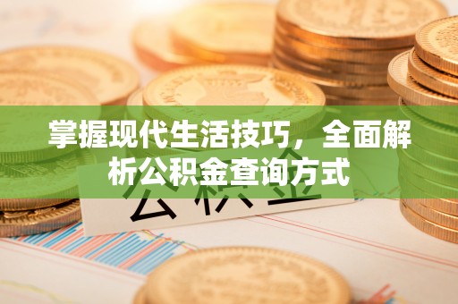 中坜掌握现代生活技巧，全面解析公积金查询方式