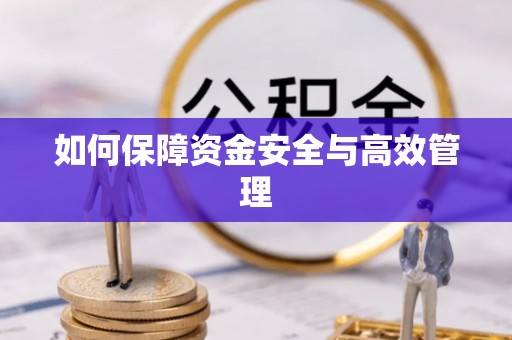 中坜如何保障资金安全与高效管理