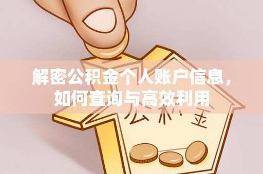 中坜解密公积金个人账户信息，如何查询与高效利用