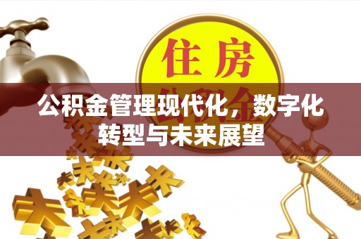 中坜公积金管理现代化，数字化转型与未来展望