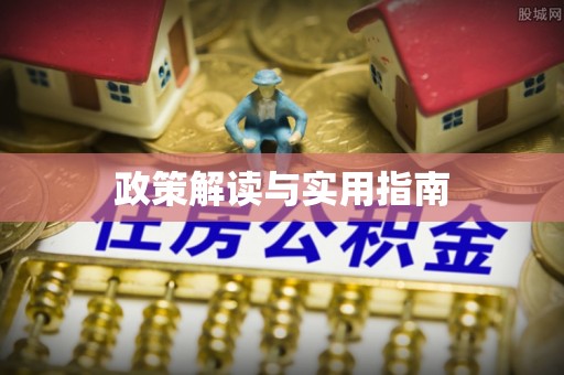 中坜政策解读与实用指南