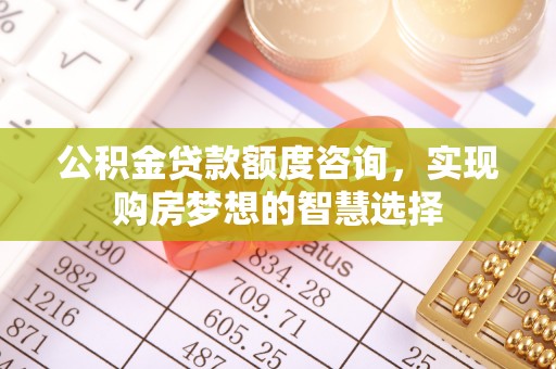 中坜公积金贷款额度咨询，实现购房梦想的智慧选择