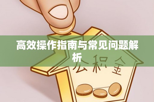 中坜高效操作指南与常见问题解析