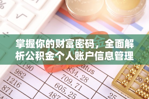 中坜掌握你的财富密码，全面解析公积金个人账户信息管理与优化