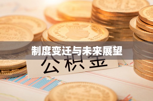 中坜制度变迁与未来展望