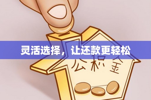 中坜灵活选择，让还款更轻松