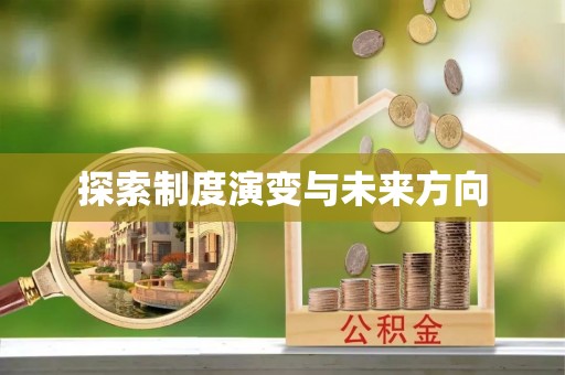 中坜探索制度演变与未来方向