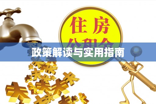 中坜政策解读与实用指南