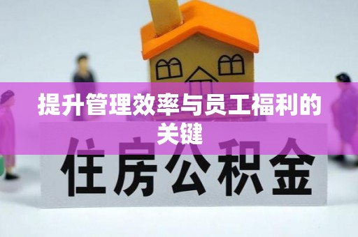 中坜提升管理效率与员工福利的关键