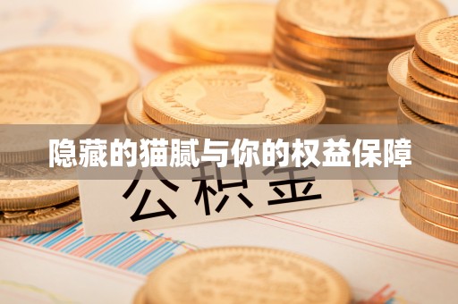 中坜隐藏的猫腻与你的权益保障