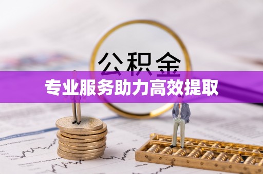 中坜专业服务助力高效提取