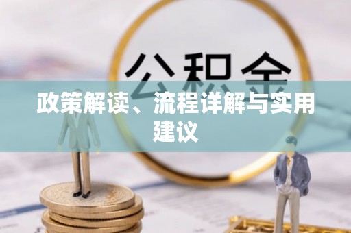 中坜政策解读、流程详解与实用建议