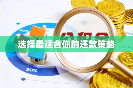 中坜选择最适合你的还款策略