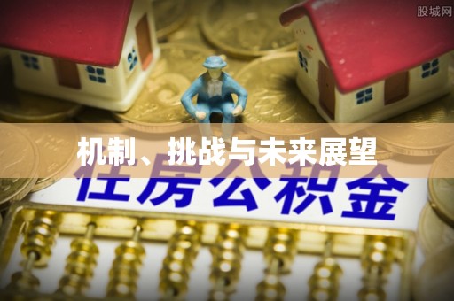 中坜机制、挑战与未来展望