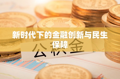 中坜新时代下的金融创新与民生保障